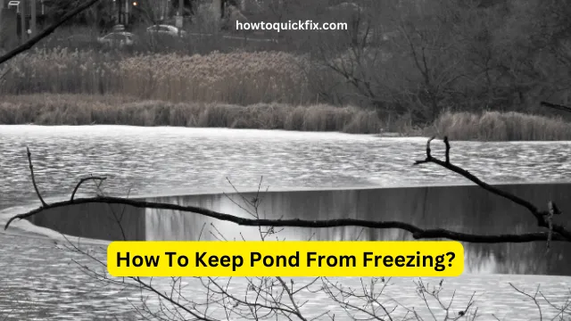 How To Keep Pond From Freezing