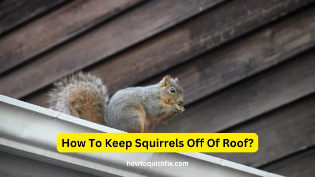 How To Keep Squirrels Off Of Roof