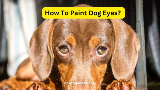 How To Paint Dog Eyes