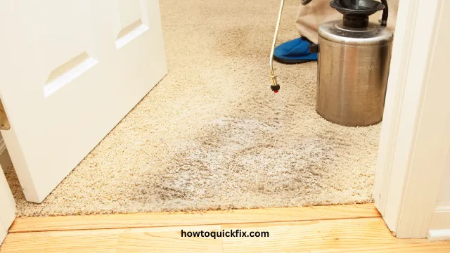 How To Remove Odor From Wet Carpet