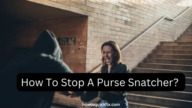 How To Stop A Purse Snatcher?