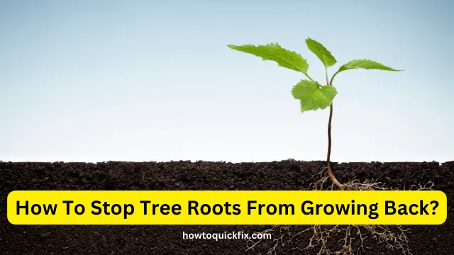 How To Stop Tree Roots From Growing Back